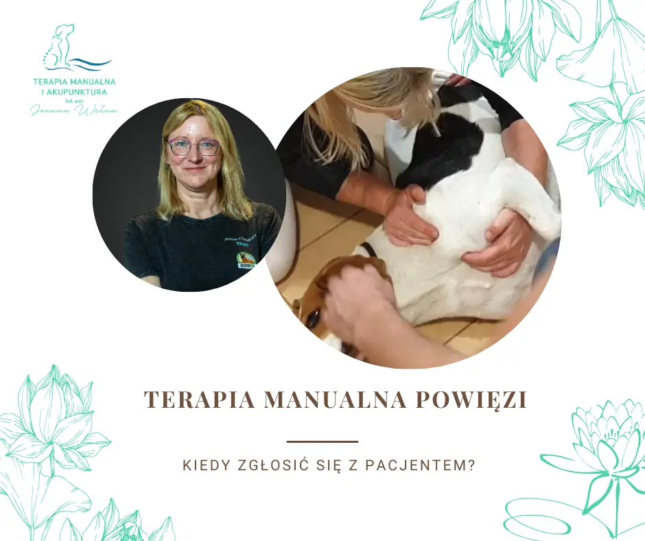 Terapia manualna powięzi