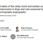 Zespół mięśnia biodrowo-lędźwiowego