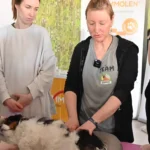 Zespół mięśnia biodrowo-lędźwiowego