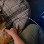 Zespół mięśnia biodrowo-lędźwiowego