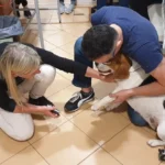 Badanie fizjoterapeutyczne pacjentów