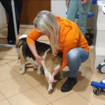 Badanie fizjoterapeutyczne pacjentów