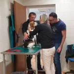 Badanie fizjoterapeutyczne pacjentów