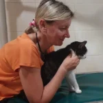 Badanie fizjoterapeutyczne pacjentów