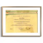 Canine Rehabilitation Practitioner