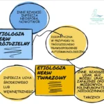 Etiologia nerw trójdzielny