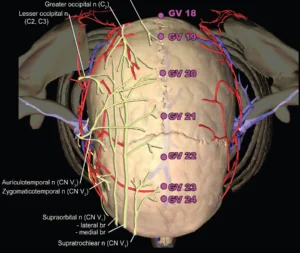 Meridian Zarządzający DU20