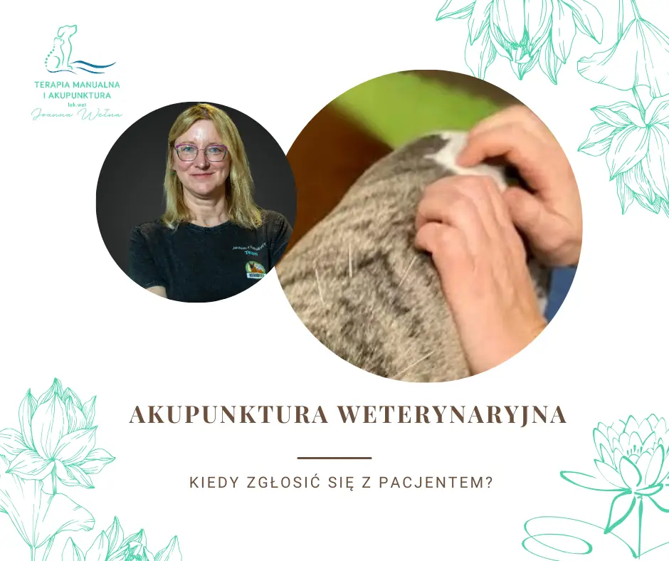 Kiedy zgłosić się z pacjentem na akupunkturę