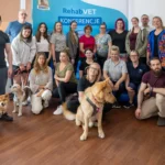 Kinezyterapia psów i kotów z Katie Lawrence