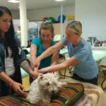 Kursy RehabVET jako prowadząca