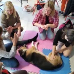 Kursy RehabVET jako prowadząca