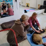 Kursy RehabVET jako prowadząca