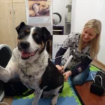 Magnetoterapia to niezwykle popularna metoda stosowana w fizjoterapii, wspomagająca leczenie wielu schorzeń