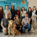 Mobilizacje stawów obwodowych psów i kotów