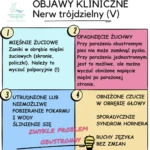 Nerw trójdzielny objawy kliniczne
