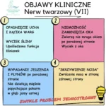 Porażenie nerwu twarzowego