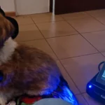 Terapia ENF Warszawa