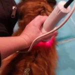 Sisi zabieg laseroterapii