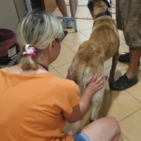 Bad. grupy kulszowo-goleniowej i przywodzicieli