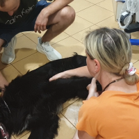 Badanie ROM w leżeniu