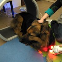 IMG_20161122_160917_HDR