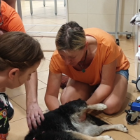 Mobilizacja stawu biodrowego