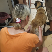 Ocena masy mięsniowej i przesuwalności powięzi