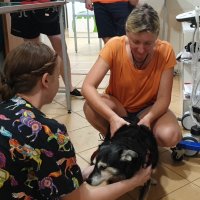 Wyrostki poprzeczne kręgosłupa