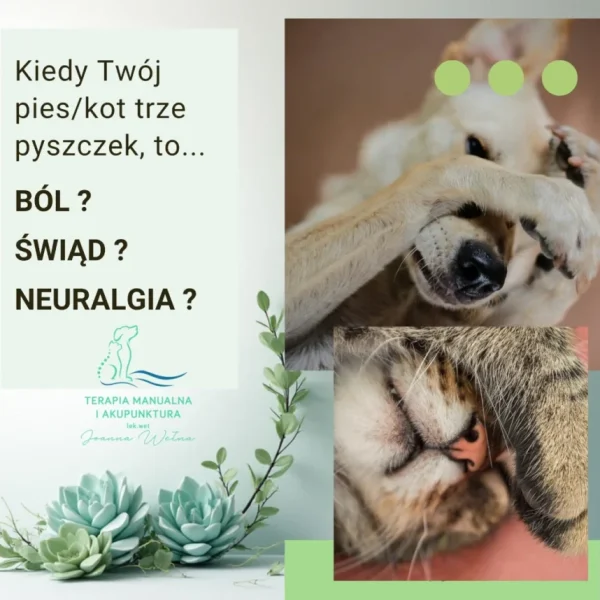 Alergia, neuralgia, a może FOPS